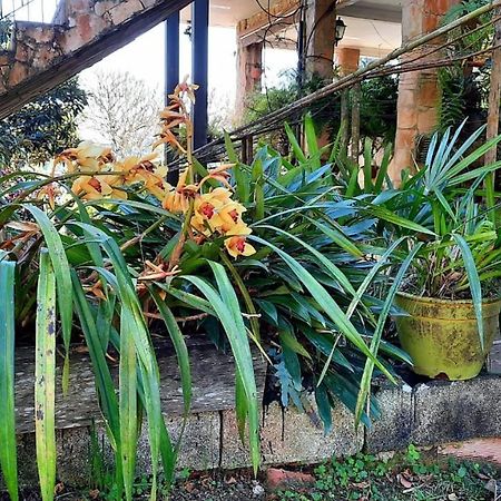 Pousada Canto Das Corujas São Roque Zewnętrze zdjęcie